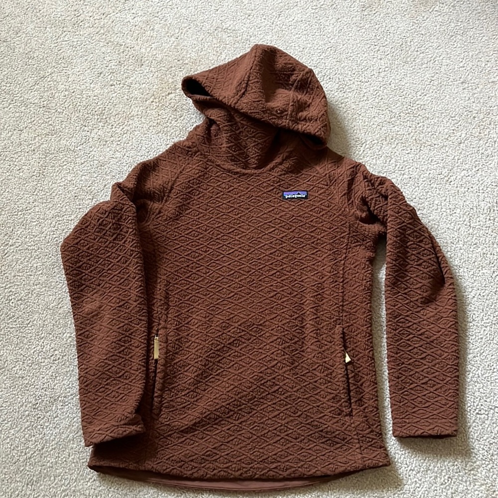 Patagonia Diamond Capra hoodie